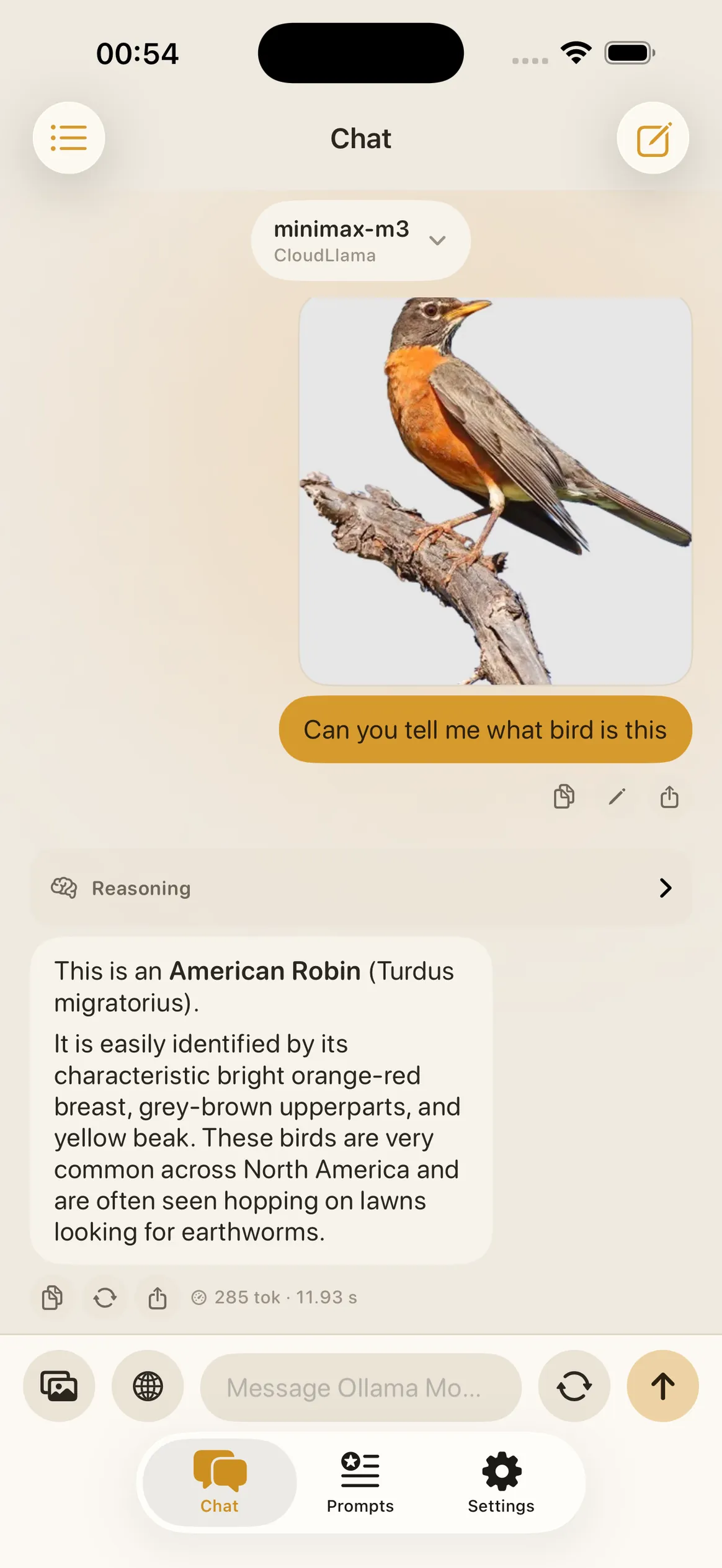 Ollama Mobile – Visual question answering